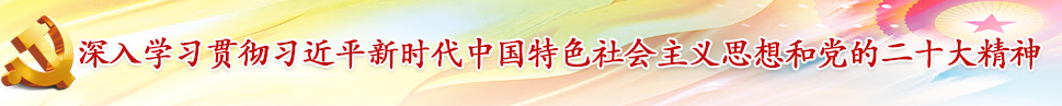 深入学习贯彻习近平新时代中国特色社会主义思想和党的二十大精神